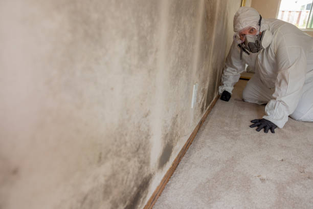 Mold Documentation for Insurance Claims in Oak Grove, VA